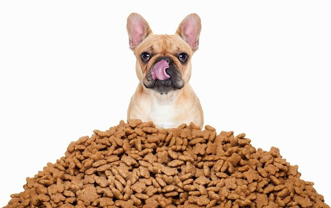 6 Migliori Aziende Di Snack Per Cani Naturali Da Tenere D'occhio